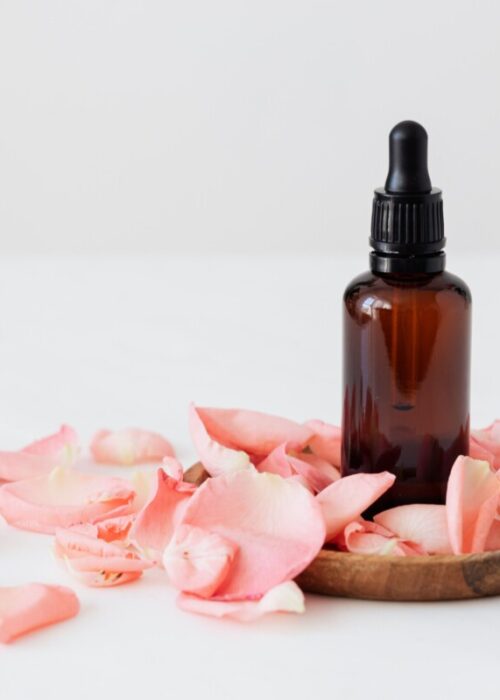 Rosa mosqueta, avocado e albicocca: come usare i lipidi vegetali nella skincare per pelle secca e matura